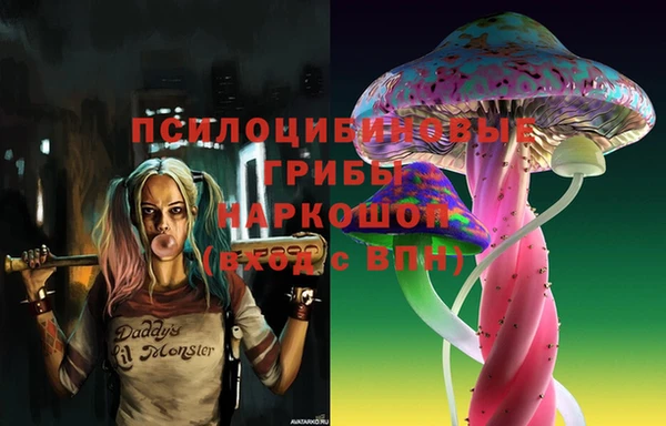 соль ск Надым