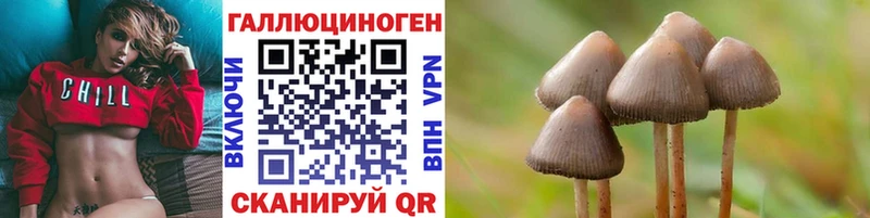 shop официальный сайт  blacksprut вход  Галлюциногенные грибы мухоморы  Олонец  цена  